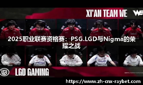 RAYBET雷竞技平台